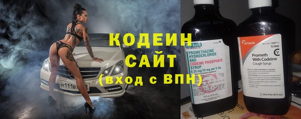 прущие грибы Белокуриха