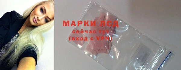 прущие грибы Белокуриха