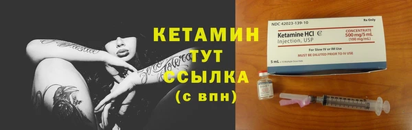 прущие грибы Белокуриха