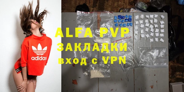 прущие грибы Белокуриха